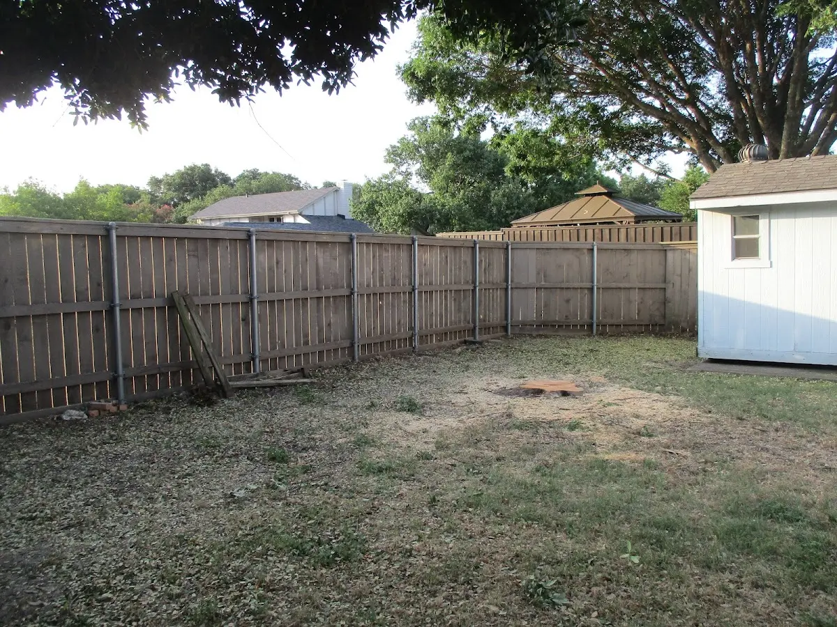 Cleared yard after professional tree removal in Clinton Corners